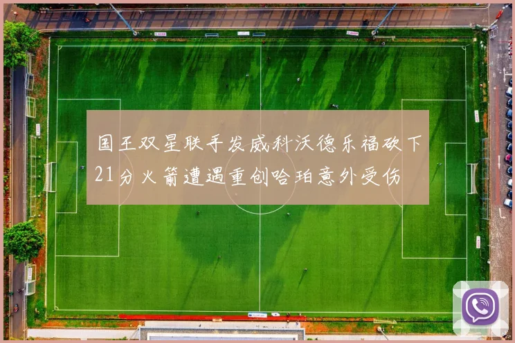 国王双星联手发威科沃德乐福砍下21分火箭遭遇重创哈珀意外受伤